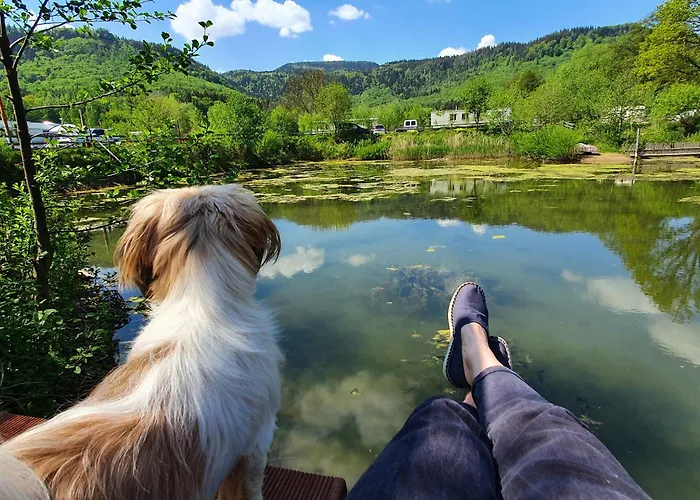 Camper Park Gospodarstwo agroturystyczne *