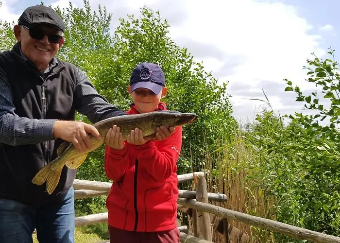 Gospodarstwo agroturystyczne Camper Park Radkow